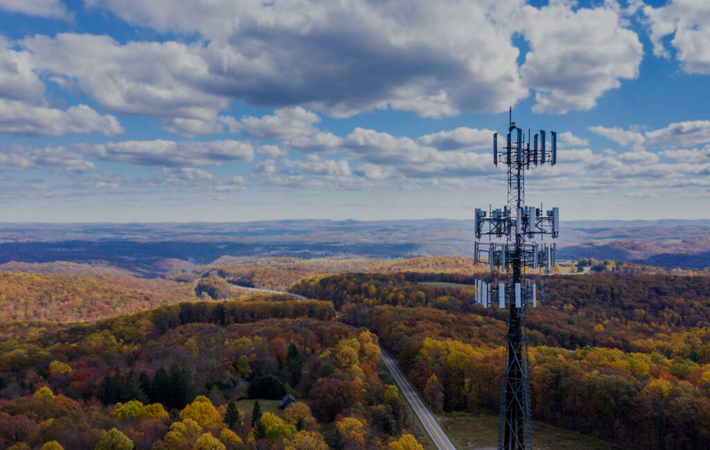 an image of a cell tower among trees